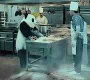 熊猫摄影拍摄技巧,熊猫摄影图片大图