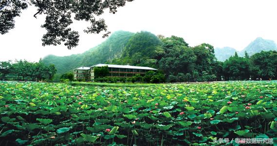 涓栫晫鏉挒涓婄埗浜茶妭,涓栫晫鏉拰绔崍