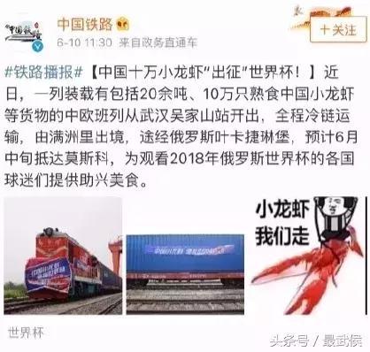 世界杯知识科普简单,世界杯伪球迷攻略