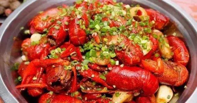 世界杯来了荷兰篇,世界杯来了葡萄牙篇