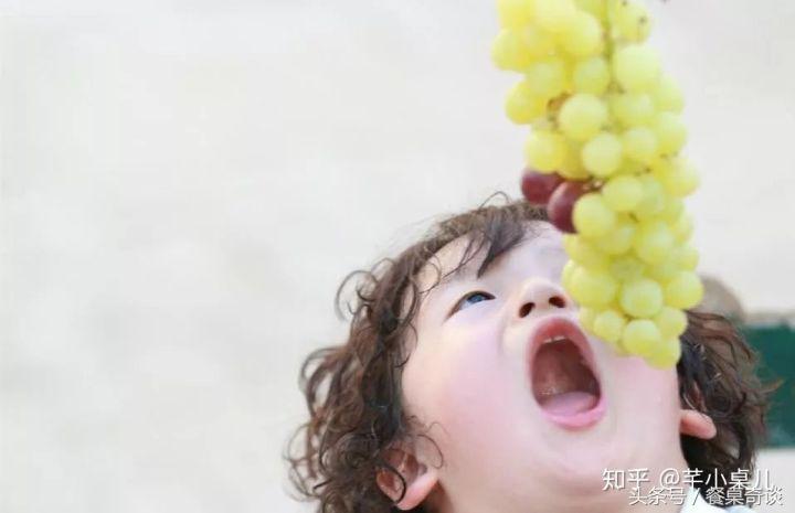 买到酸葡萄,买到很酸的葡萄