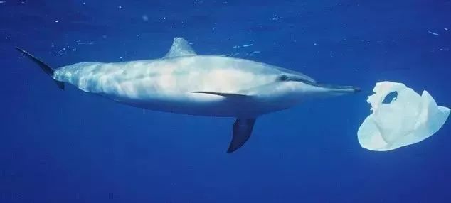 让人震撼的绝美景色,十大绝美景色