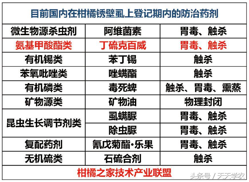 柑橘锈壁虱危害果实到几月,柑橘的虫害锈壁虱有哪几种特效药