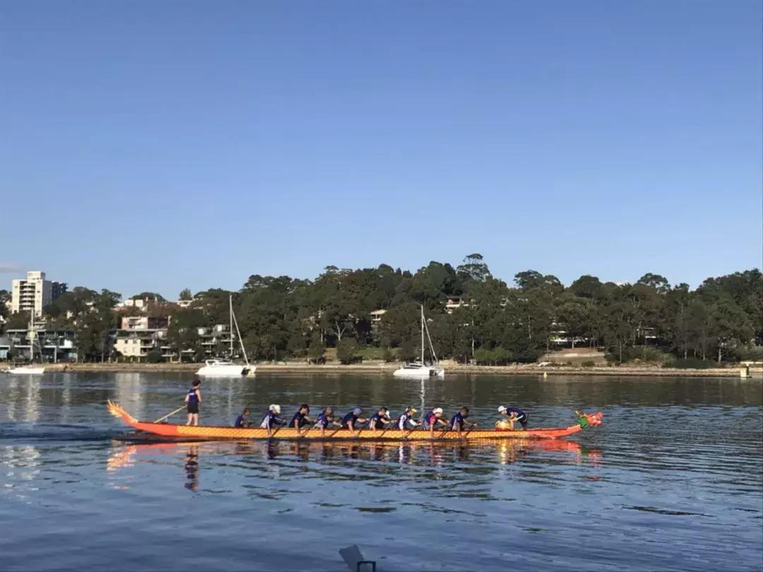 我在悉尼买龙舟，天猫下单解乡愁