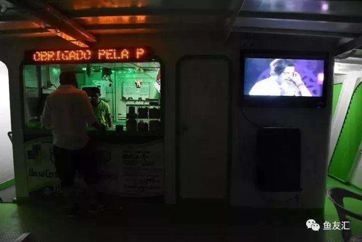 特隆贝塔如何饲养,特隆贝塔半皇与红彩区别