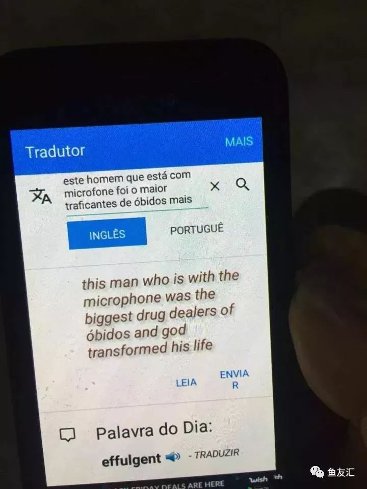 特隆贝塔如何饲养,特隆贝塔半皇与红彩区别