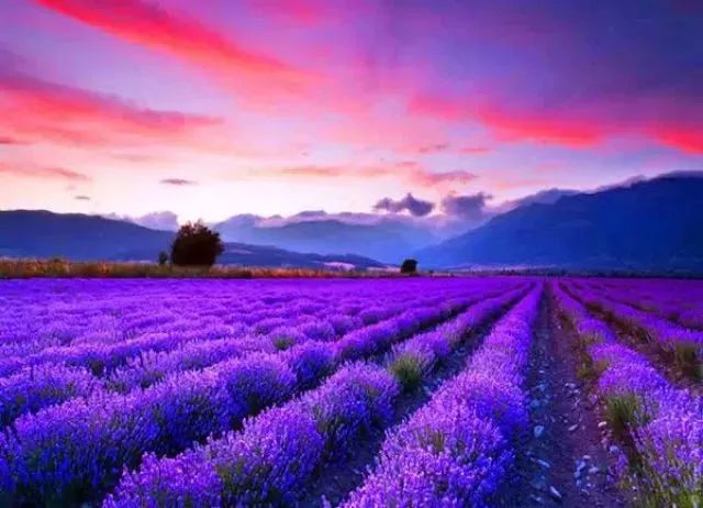 新华社攀枝花,新华社三亚