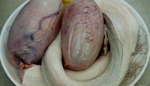 女人吃牛尾巴功效与禁忌,女人吃牛的好处