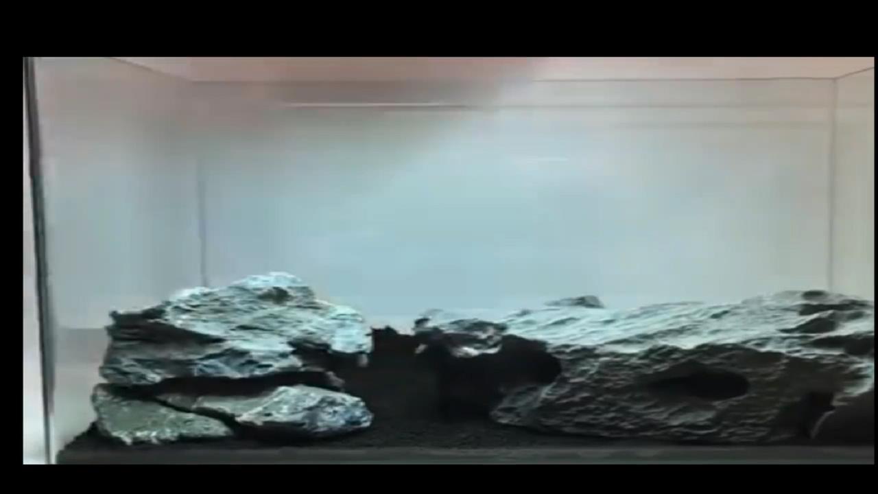 草缸造景以后加水很浑浊,鱼缸造景草缸教程步骤讲解
