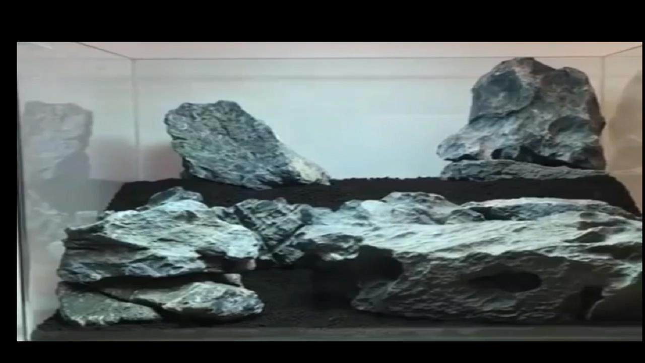 40*40原生莫斯草缸造景作品,鱼缸造景效果图草缸怎么才能通透