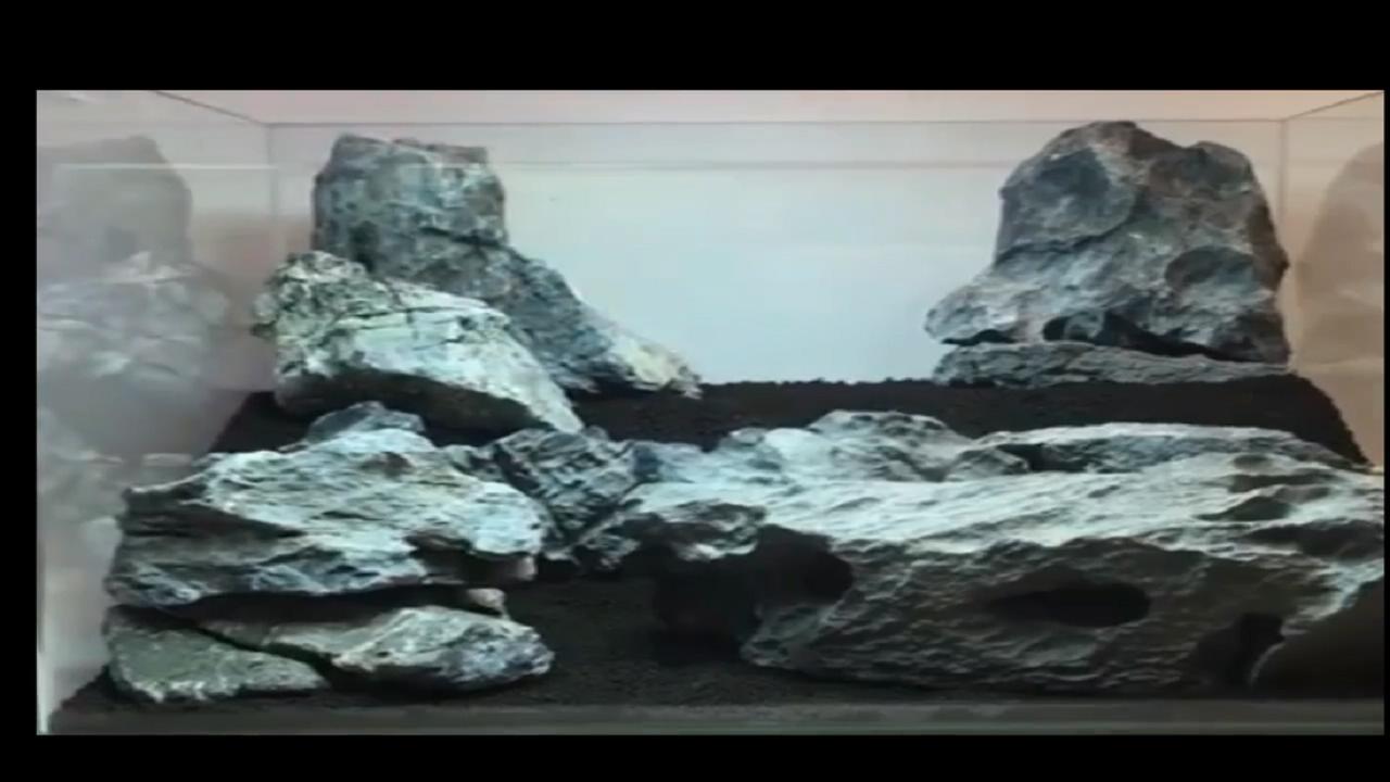 40*40原生莫斯草缸造景作品,鱼缸造景效果图草缸怎么才能通透