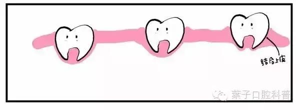 儿童治疗牙齿科普动画,孩子牙齿成长全过程