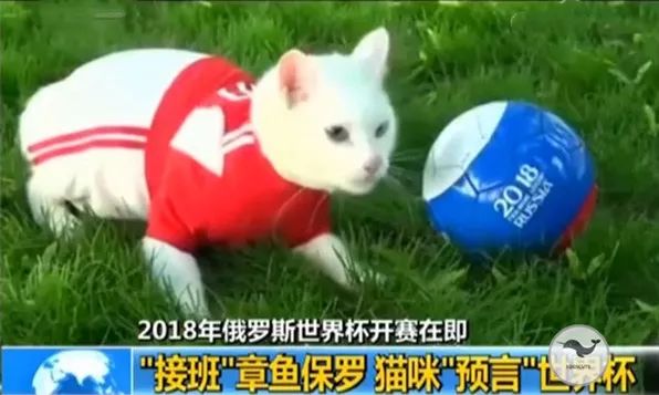 世界杯大幕拉开,世界杯开幕式精彩回放