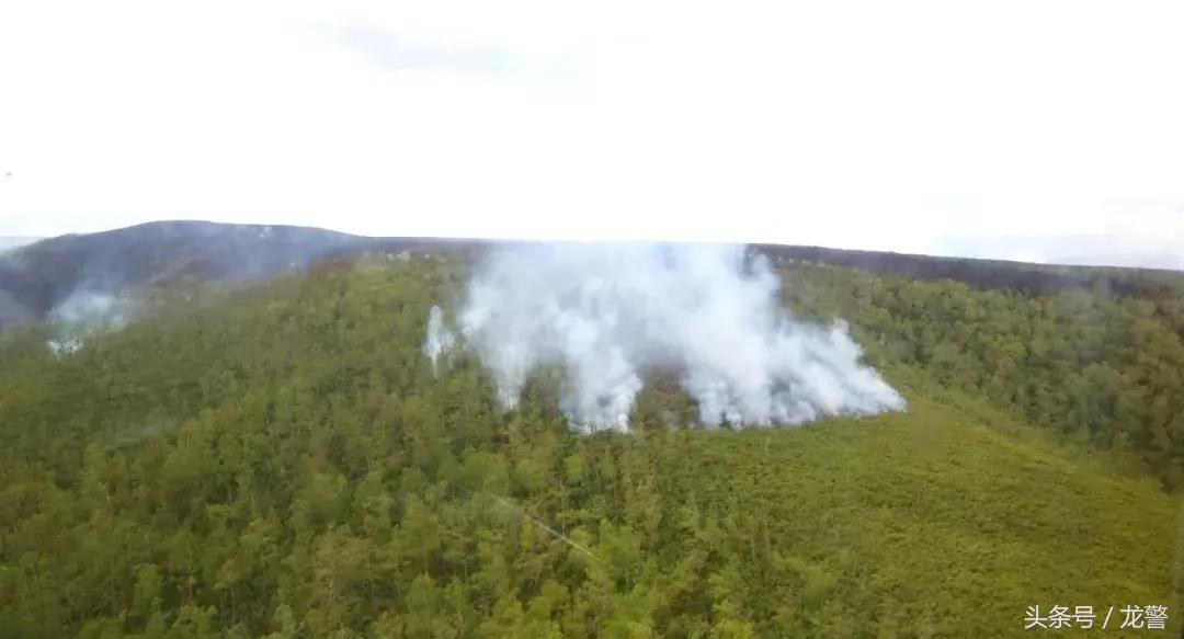「龙江警风」烈火中逆行的“警察蓝”