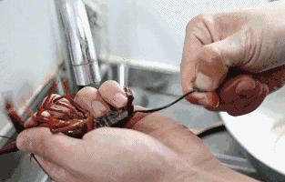 2018世界杯期间，如何正确吃小龙虾？