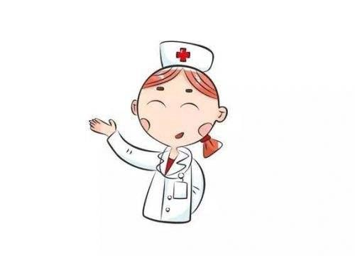 世界杯装蛋糕,世界杯装腔指南荷兰