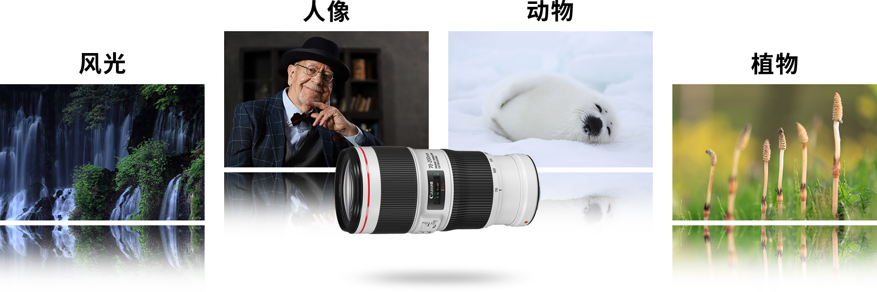 佳能70-200mmf2.8一代全新多少钱,佳能70-200mmf4一代