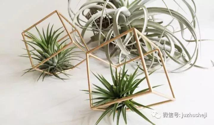 新房装修后摆什么小物件好看,家里放哪些装修物件比较好