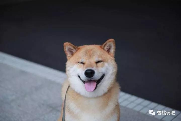 抖音最火的团队游戏,最近抖音很火的游戏