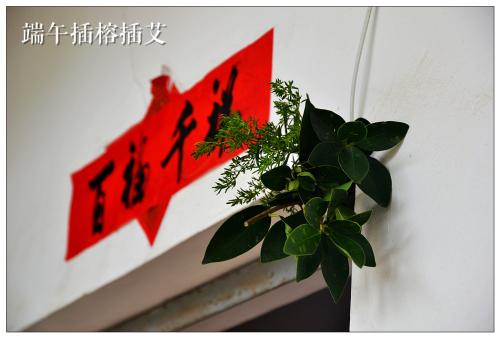 端午鬼节真实故事,端午又称九毒日