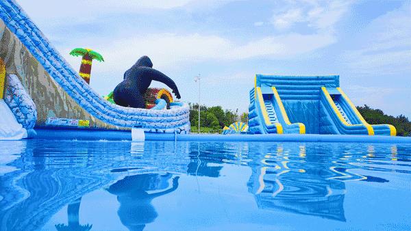 我哩天！世界杯期间，这群阜阳人不看球！竟然跑去干这事！