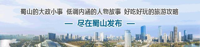 2023年合肥春芽杯篮球赛参赛队伍,蜀山区2020年篮球比赛