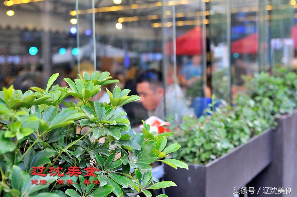 沈阳球迷嘉年华,沈阳世界杯观赛