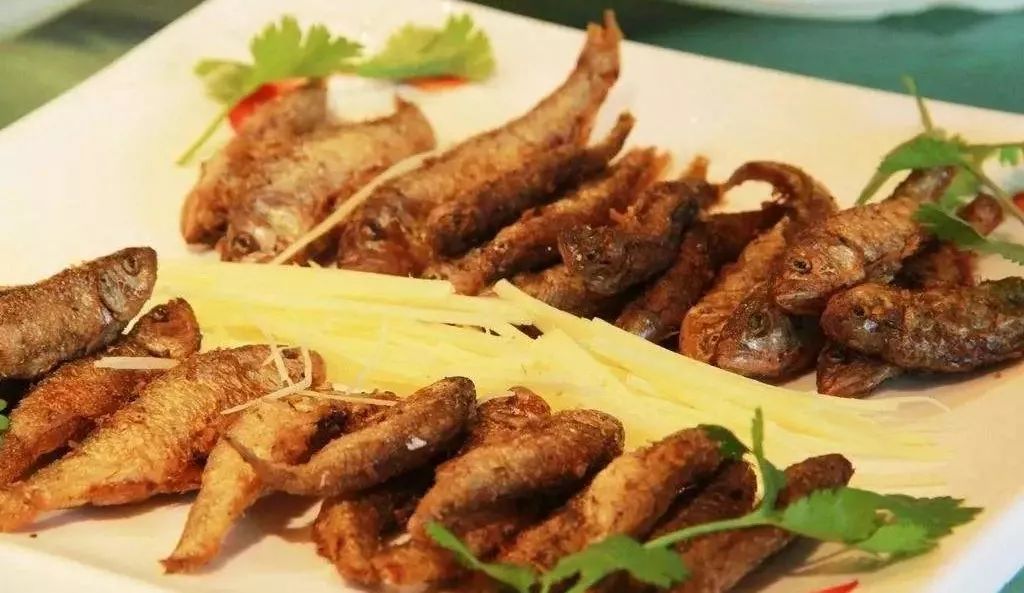 刘遂谦最新视频,刘遂谦