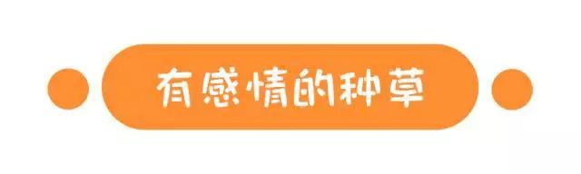 亲测|代购不要面子的啊?在意大利能买到这些好用的防晒!