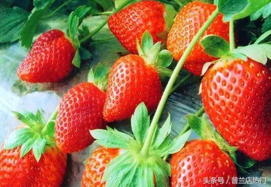 在普兰店生活有多好,我在山东刚刚好何必羡慕北上广