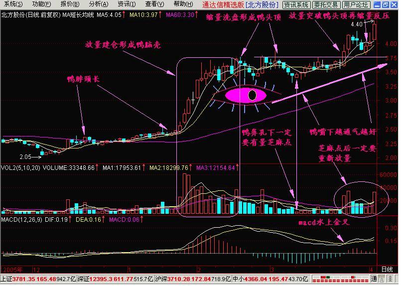 炒股牢记老鸭头,老鸭头炒股绝密技术
