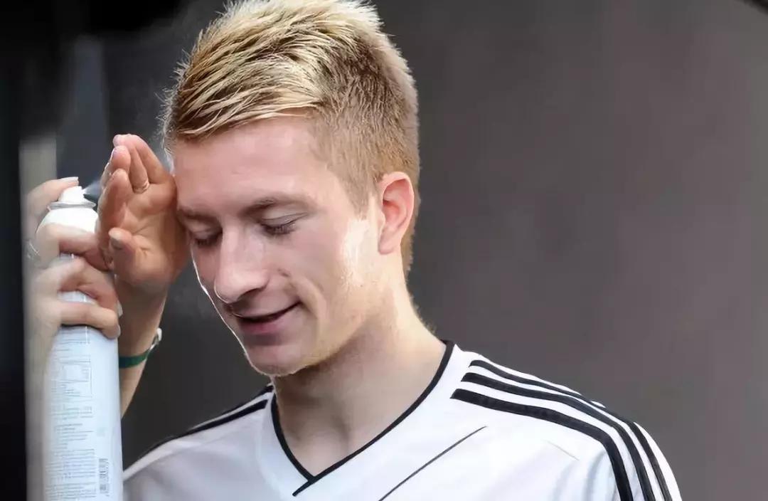 世界杯肉肉的仙人球,世界杯胖嘟嘟