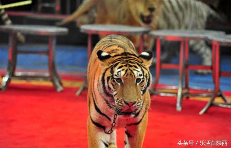 不用出国也能看到蒙娜丽莎,不用出国也能看的异域风景