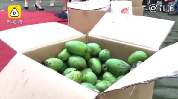 男生邀请奶奶走毕业红毯:她从小照顾我,最辛苦功劳最大