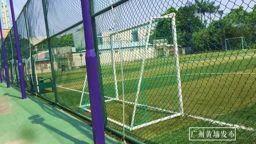 中国世界杯十大专业足球场,黄埔足球世界杯