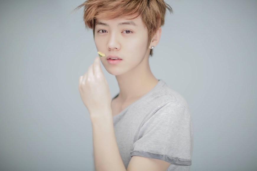 鹿晗解说世界杯哪一场,鹿晗有什么实力解说世界杯