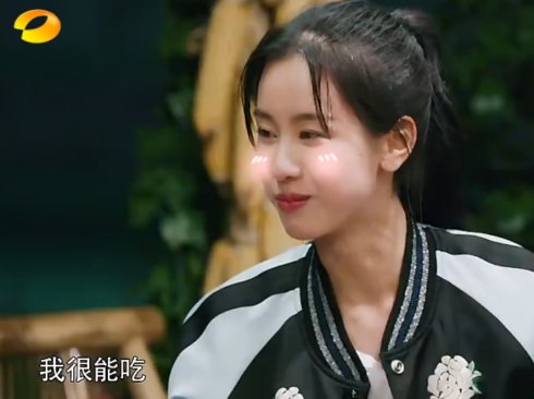 苏有朋左耳金马奖,左耳入围金马奖