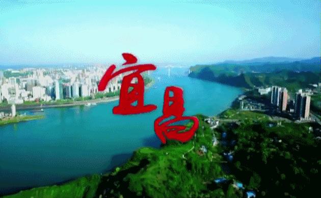 宜昌市一医院招聘公告,宜昌市中心人民医院招聘93人