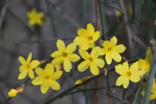 超级英雄父亲节礼物,父亲节超级英雄