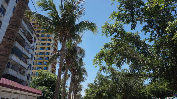 一个人的旅行真的有意义吗,旅行的意义和不期而遇的相遇