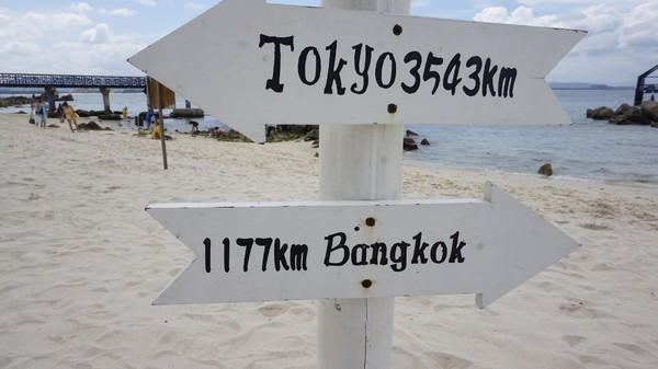 一个人的旅行真的有意义吗,旅行的意义和不期而遇的相遇