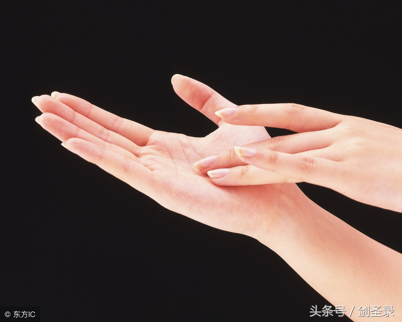 增广贤文人生在世多见多闻,增广贤文世事明如镜