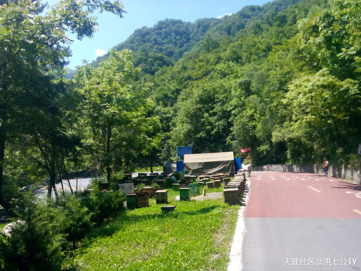 咚咚锵、咚咚锵，带着华妃去*藏西**！（一）