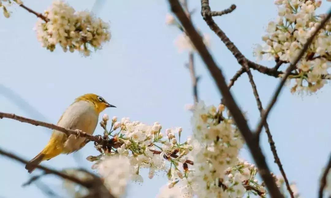 云南最好的大学是哪个大学,云南最好农校