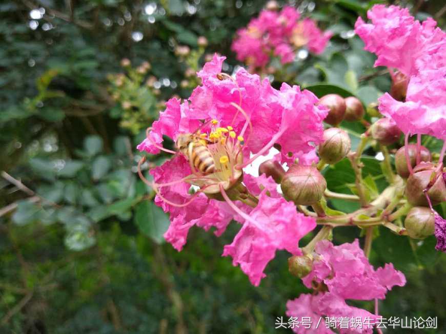 第一次去深圳感觉到了未来,深圳宝安公园一日游攻略