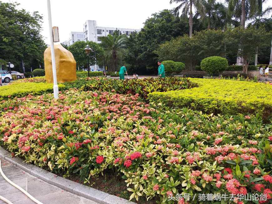 第一次去深圳感觉到了未来,深圳宝安公园一日游攻略