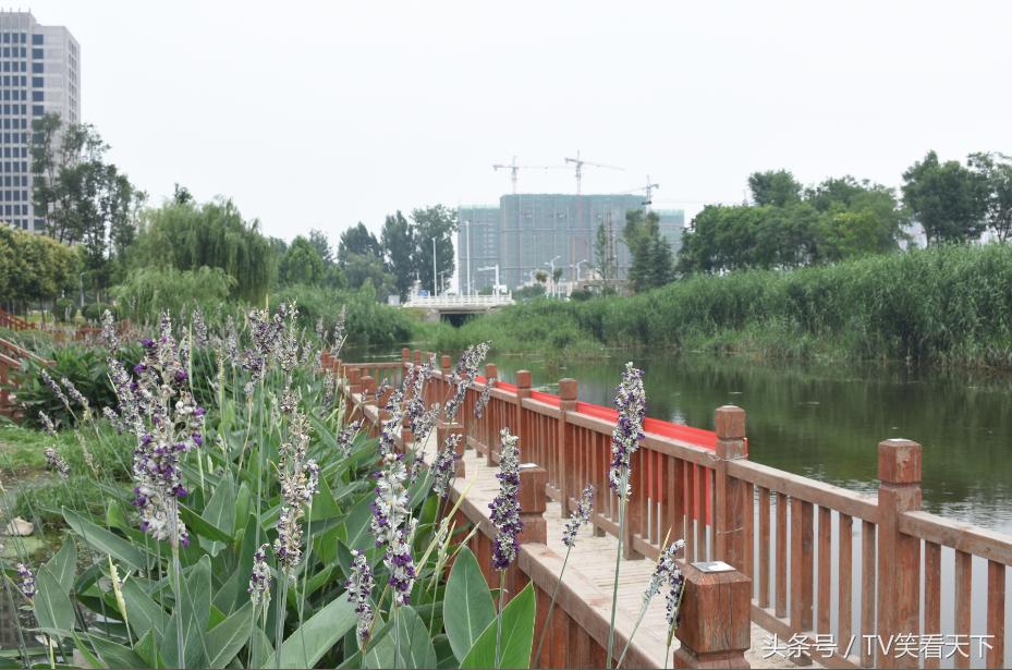 焦作“新体育馆”，有什么好玩的？睁大眼睛！跟我来！