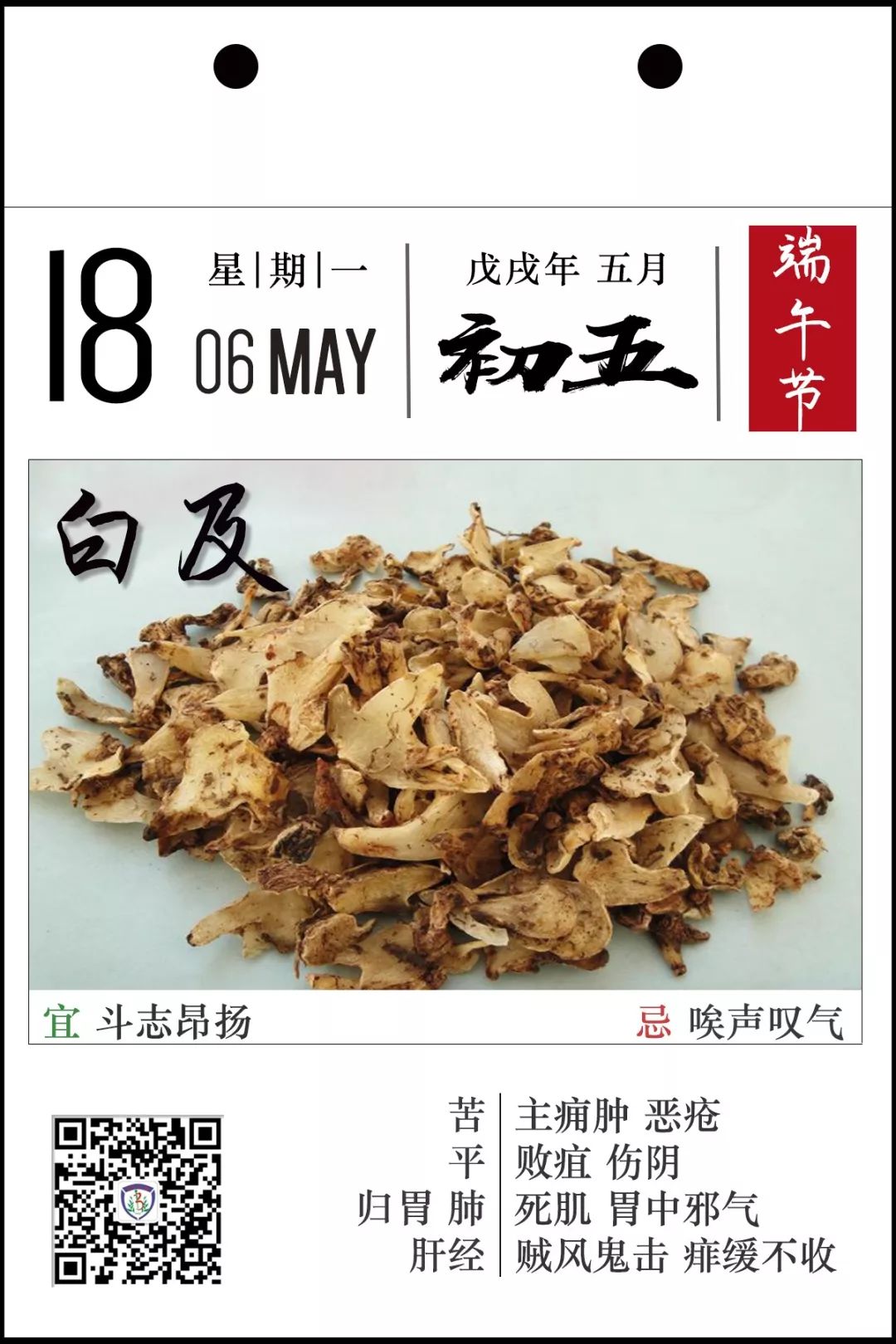 铿锵玫瑰归来小说,女足铿锵玫瑰回家