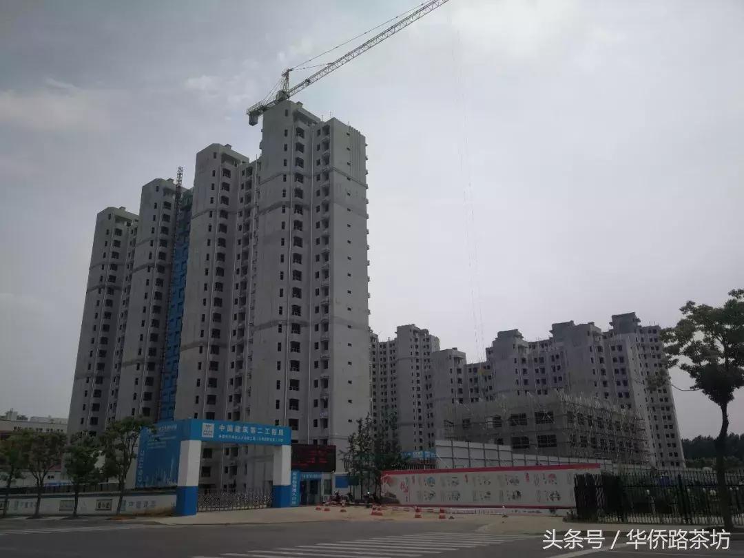 2023年南京南外各学校录取数,南京2020南外中考录取人数