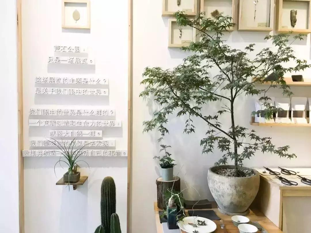 成都文艺的巷子,成都比较文艺的地方